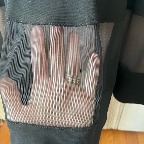 R&M RICHARDS shortsleeve knee length micromesh black nude underlay stripes sz 8 - Picture 3 of 9